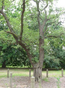 sillsbendjan2009-007 sillsbendjan2009-007