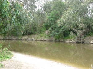 sillsbendjan2009-013 sillsbendjan2009-013