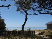 sillsbendjan2009-036