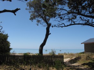 sillsbendjan2009-036 sillsbendjan2009-036