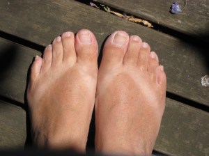 sillsbendjan2009-040