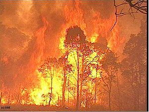 300px-ashwednesday1 300px-ashwednesday1