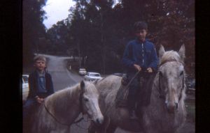 marysville marysville