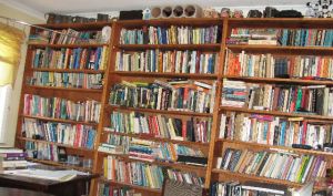 bookshelves 003