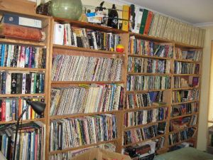bookshelves 004