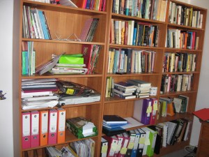 bookshelves 011