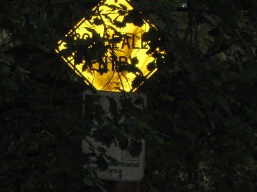 banyulefestival2010 003