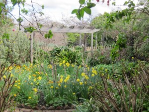 Westgarthtown_Aug2011 012