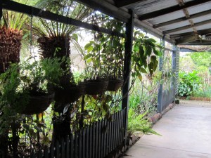 Westgarthtown_Aug2011 013