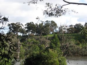 2011_06_04. Banyule Homestead. 1.