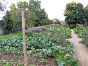 Kitchen garden adjacent to Heide I