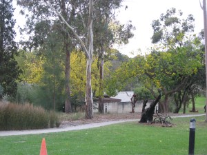 Heide Gardens, Bulleen May 2013