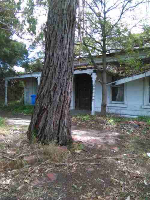 IMG_20150314_150942a