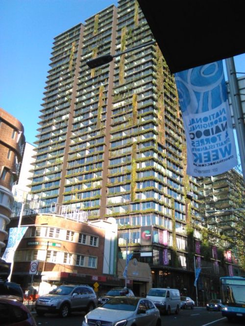 From a distance, there is a green fuzz on the side of the building