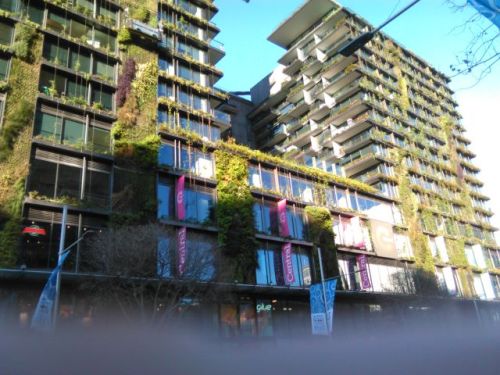 Closer up you can see the plants growing on the walls. 