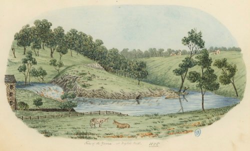 Falls of the Yarra  at Dights Mill.