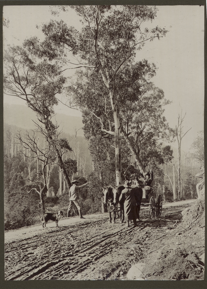 Reenactment of a bushranger robbing some travellers on a country road