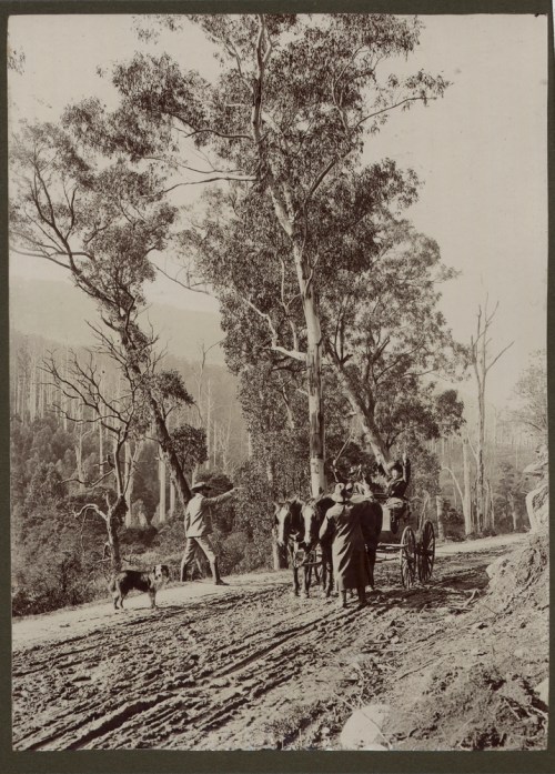 Reenactment of a bushranger robbing some travellers on a country road
