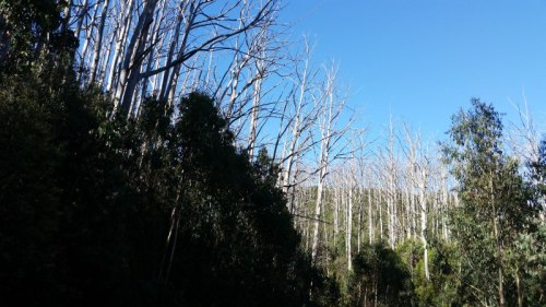 20180228_093347_small