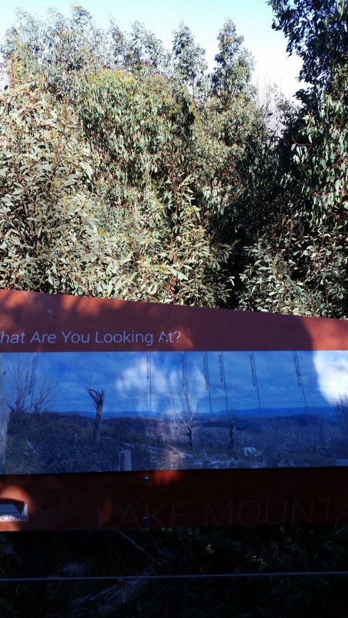 20180228_100058_small