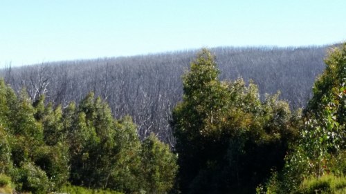 20180228_101008_small