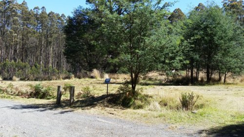 20180228_121551_small