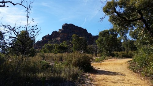 20180418_094716_small