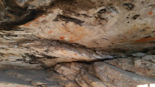 20180418_095212_small