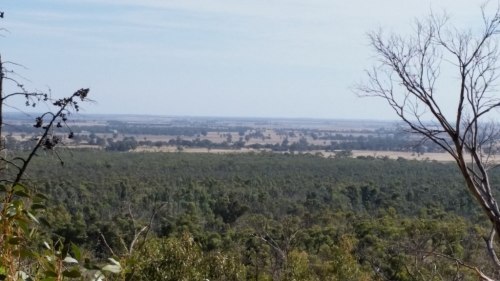 20180418_095455_small