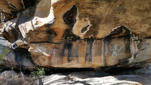 20180418_111354_small