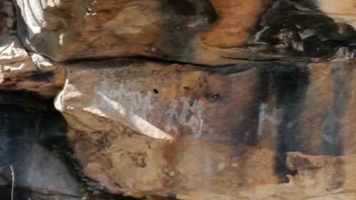 20180418_111404_small