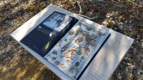 20180418_120442_small