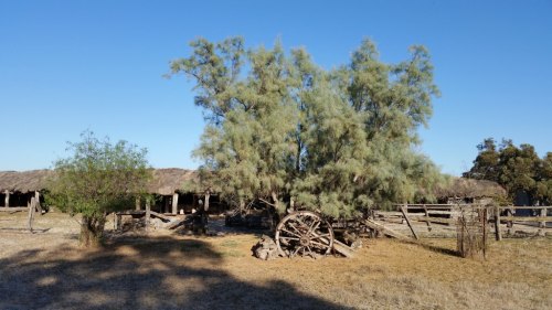 20180420_084856_small