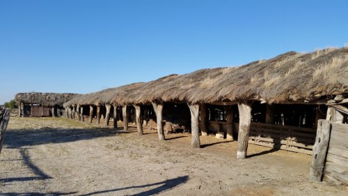 20180420_084939_small